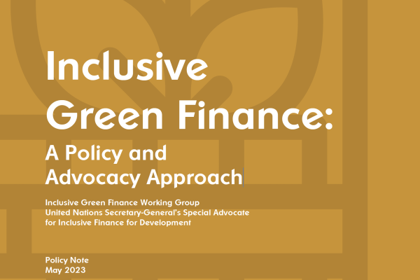 IGF Policy Note Cover Image
