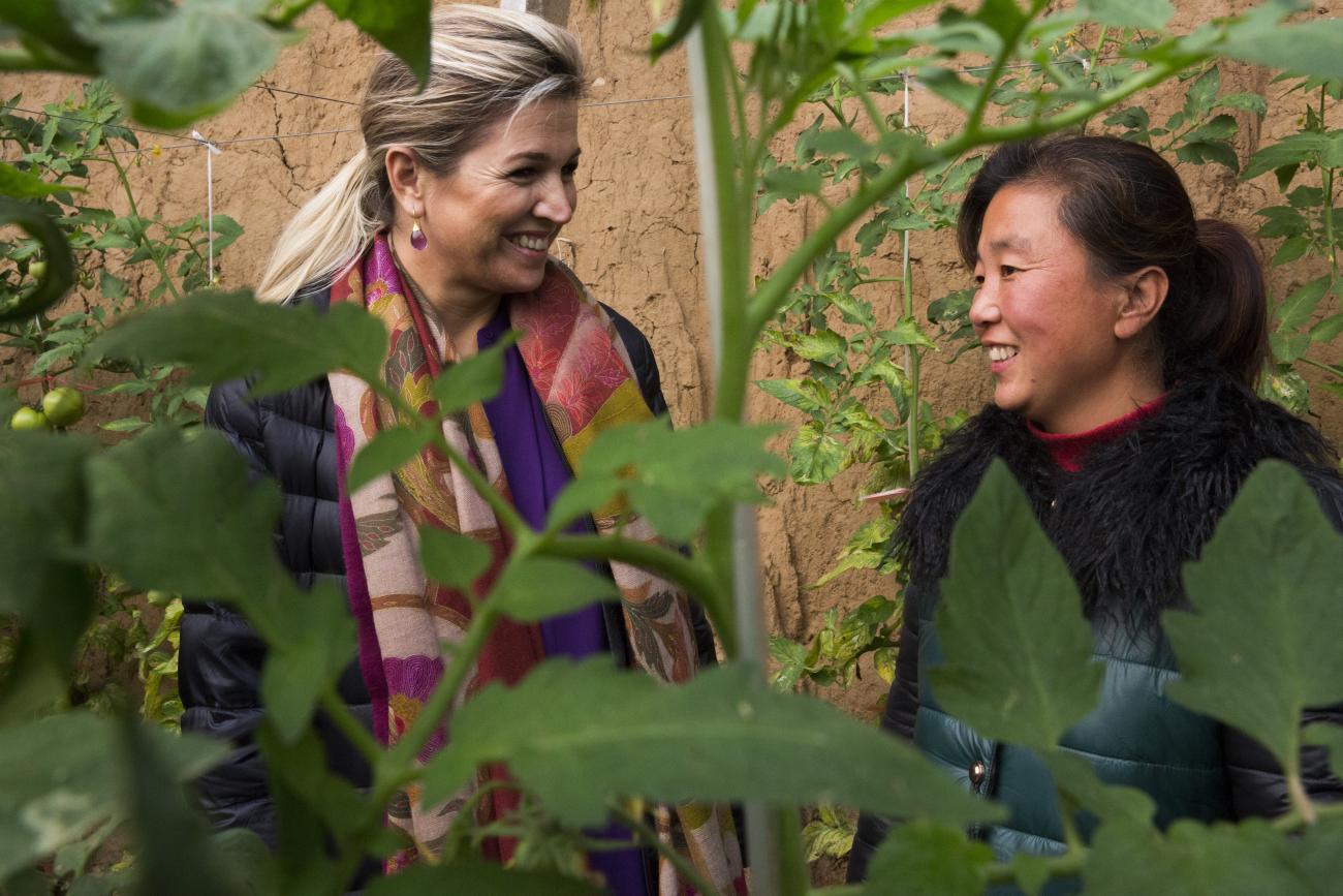 Zhou Guozhi's entrepreneurial spirit and careful investments, supported by her first-ever loan, helped her transform a greenhouse operation into a thriving enterprise. Photo credit: UNSGSA/Adam Dean