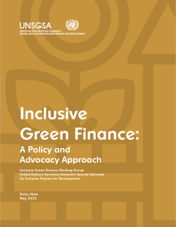 IGF Policy Note Cover Image