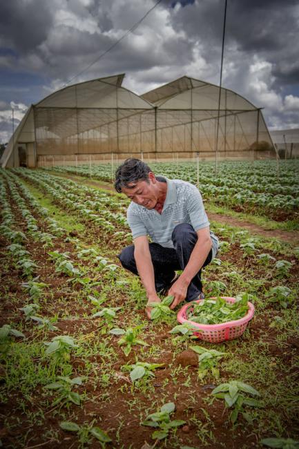 Transforming agriculture can require more than financing. Thanks to technical assistance, business training, market access, and financing, Dinh Xuan Toan has been able to multiply his income significantly, but the process is complex. Photo credit: UNSGSA/Robin Utrecht